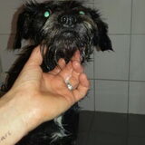 Foto van Ciska en Spanjaardje Moh (Bambi r.i.p.)