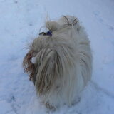 Brrr...wat is het koud,maar wel heel leuk die sneeuw.