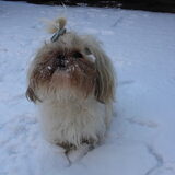 Brrrr...zo koud!