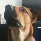 Foto van Mayke & Buddy