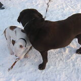 Foto van Renée & Gino!