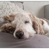 Foto van esther