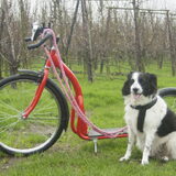 Foto van Angelique; Bruno, Charlie & Fenna