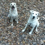 Links Angel, rechts Kylan
