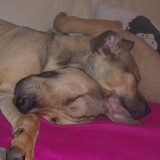 broer en zusterliefde :)
