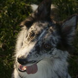 Foto van Angelique; Bruno, Charlie & Fenna