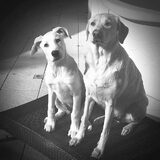 Foto van Melissa  ~Angel & Kylan~