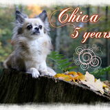 Foto van Shauni  *Sky~Jinx~Sansa~Hypno*