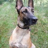 Foto van Amy
