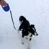 sneeuw!!
