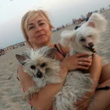 Foto van Amaya Mama Mia Amore