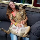 Foto van Dutchshepherdteam