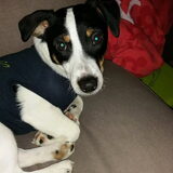 Foto van mymy