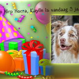 Foto van Danielle, Kyra*Kaylin*, Djaira en Djaidey