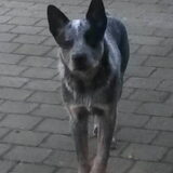 Foto van fabienne