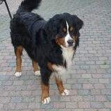 Joe's grote broer...
