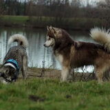 Foto van Tiffani & Pepper