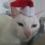 Foto van Michelle, baasje van Scotty en kater Charlie †