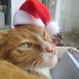 Foto van Michelle, baasje van Scotty en kater Charlie †