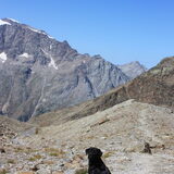 Knappe meid in Saas Grund