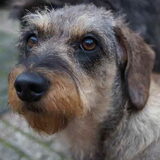 Foto van Rob