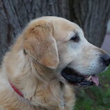 Foto van Wilma en Dobby (RIP)