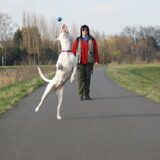 Foto van Martine