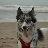 Foto van Angelique; Bruno, Charlie & Fenna