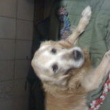 Rocky!!!
