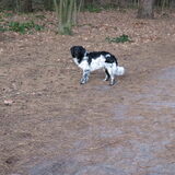 Foto van Doortje & Tibbe