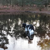 Foto van Doortje & Tibbe