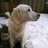 6 januari 2010: zo zie je eruit na het graven in de tuin