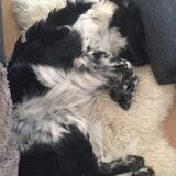 Foto van Doortje & Tibbe
