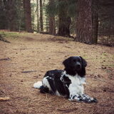 Foto van Doortje & Tibbe