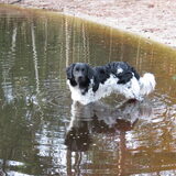 Foto van Doortje & Tibbe