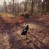 Foto van Doortje & Tibbe