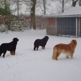 Foto van fabienne