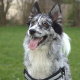 Foto van Angelique; Bruno, Charlie & Fenna