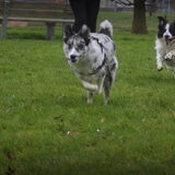 Foto van Angelique; Bruno, Charlie & Fenna