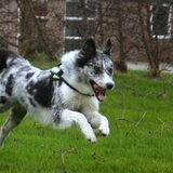 Foto van Angelique; Bruno, Charlie & Fenna
