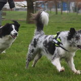 Foto van Angelique; Bruno, Charlie & Fenna