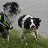 Foto van Angelique; Bruno, Charlie & Fenna