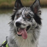 Foto van Angelique; Bruno, Charlie & Fenna