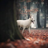 Foto van Judy
