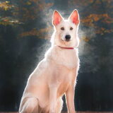 Foto van Judy