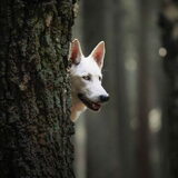 Foto van Judy