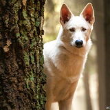 Foto van Judy