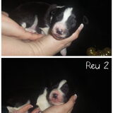 1 week oud!