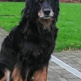 Foto van fabienne