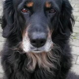 Foto van fabienne